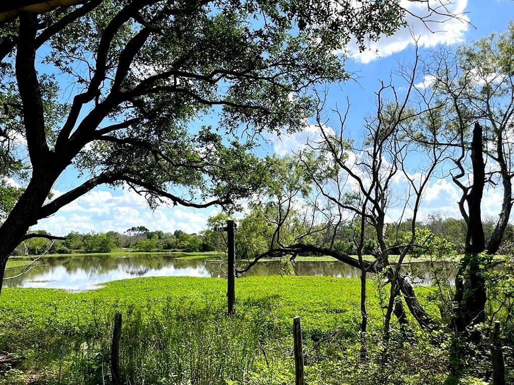 14.24 acres in Colorado County - photo 8