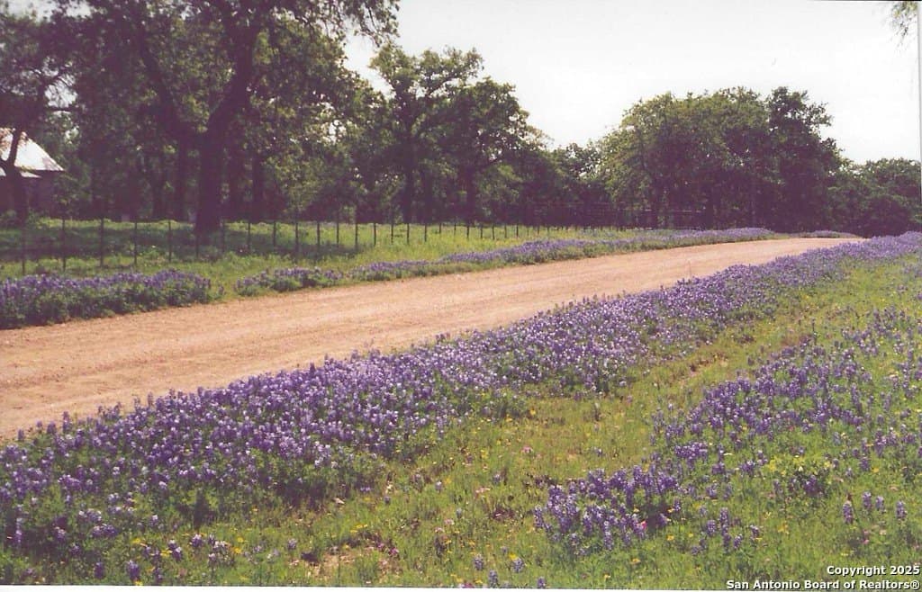 20 acres in Gillespie County - photo 34