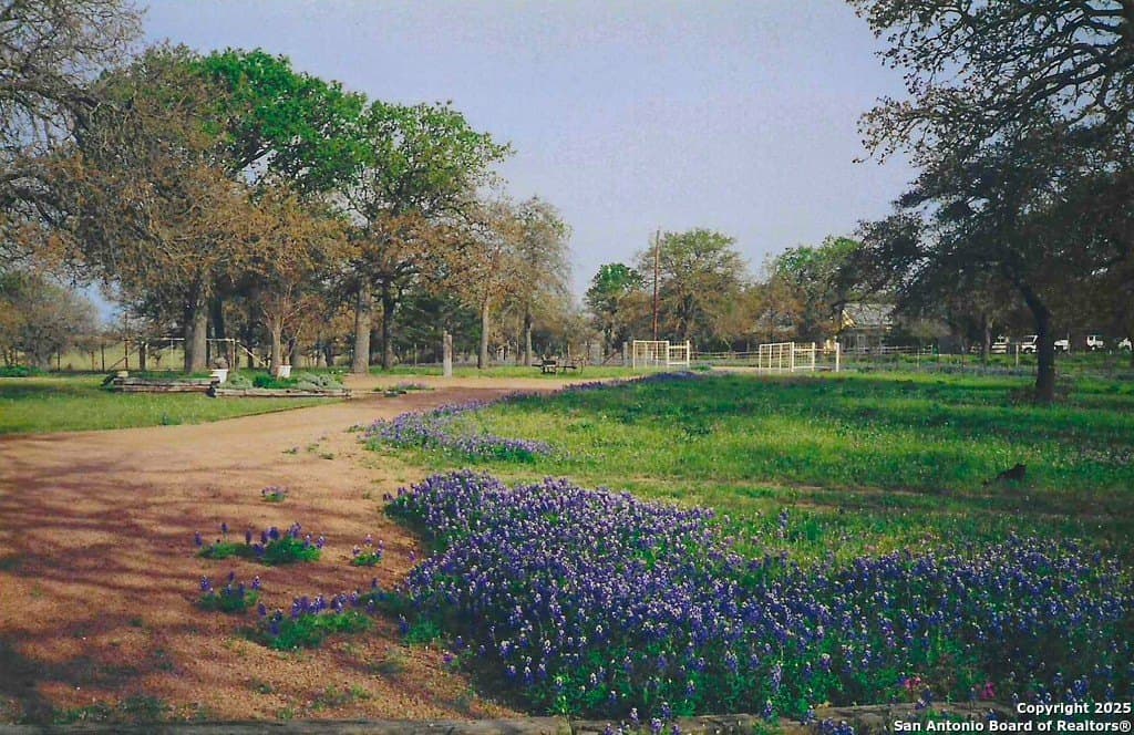 20 acres in Gillespie County - photo 33