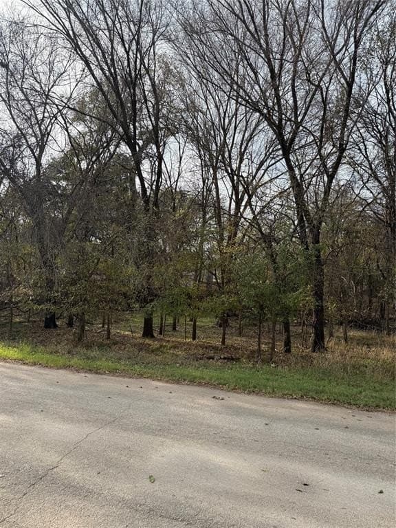 0.17 acres in Parker County - photo 2