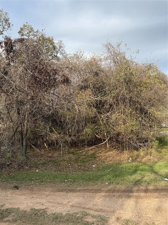0.17 acres in Parker County - photo 6