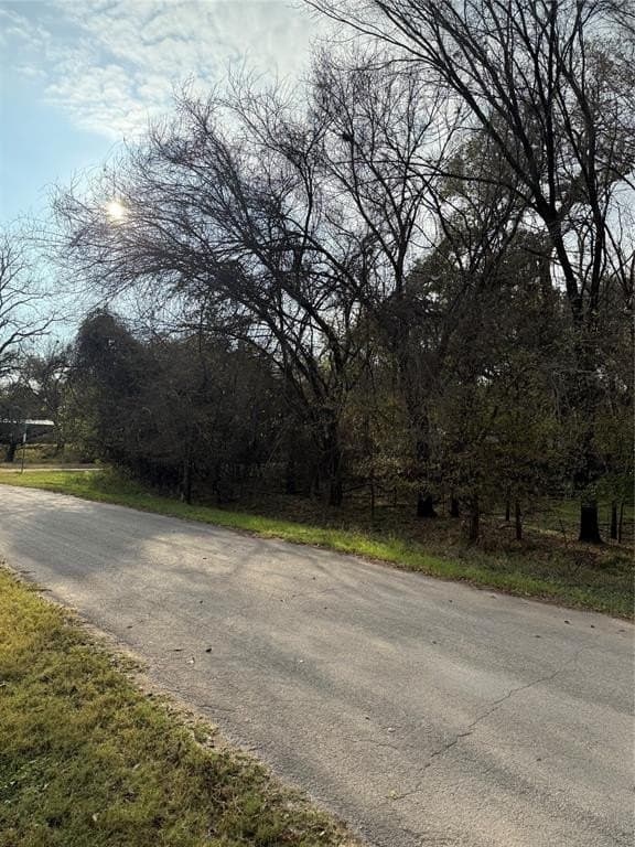 0.17 acres in Parker County - photo 3