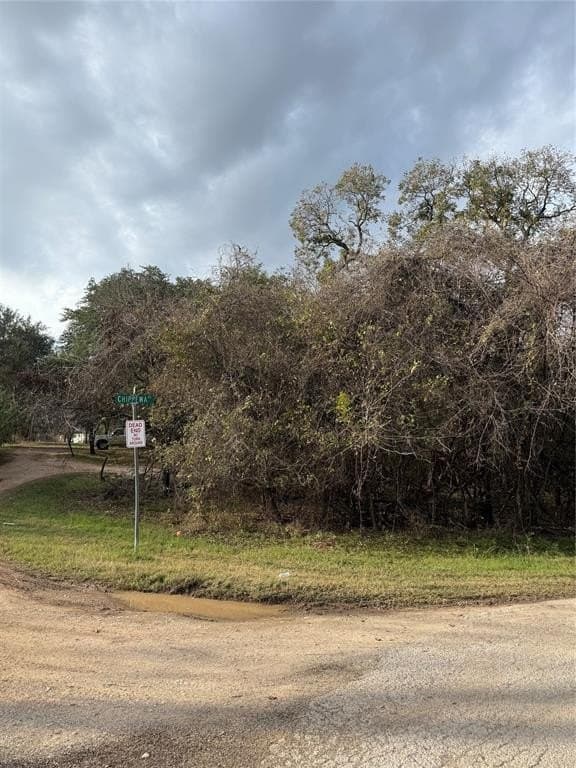 0.17 acres in Parker County - photo 5