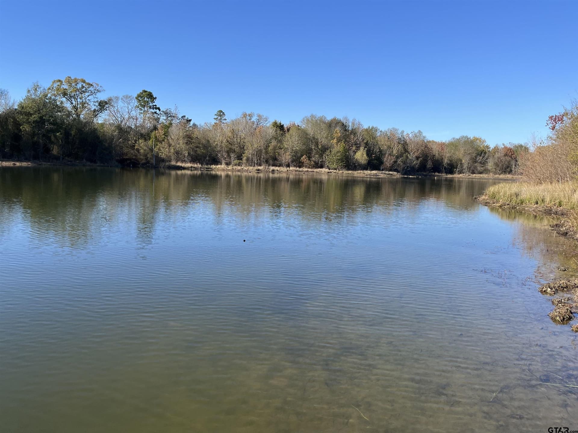 10 acres in Wood County - photo 6