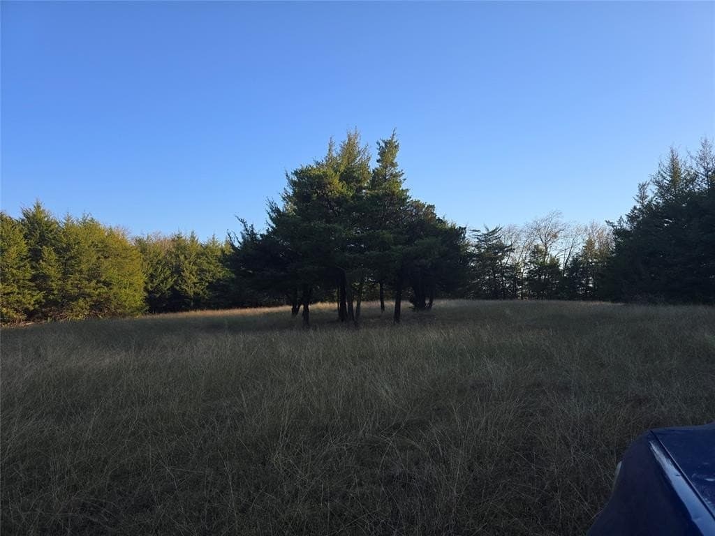 42 acres in Lamar County - photo 13