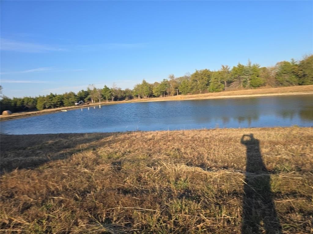 42 acres in Lamar County - photo 5