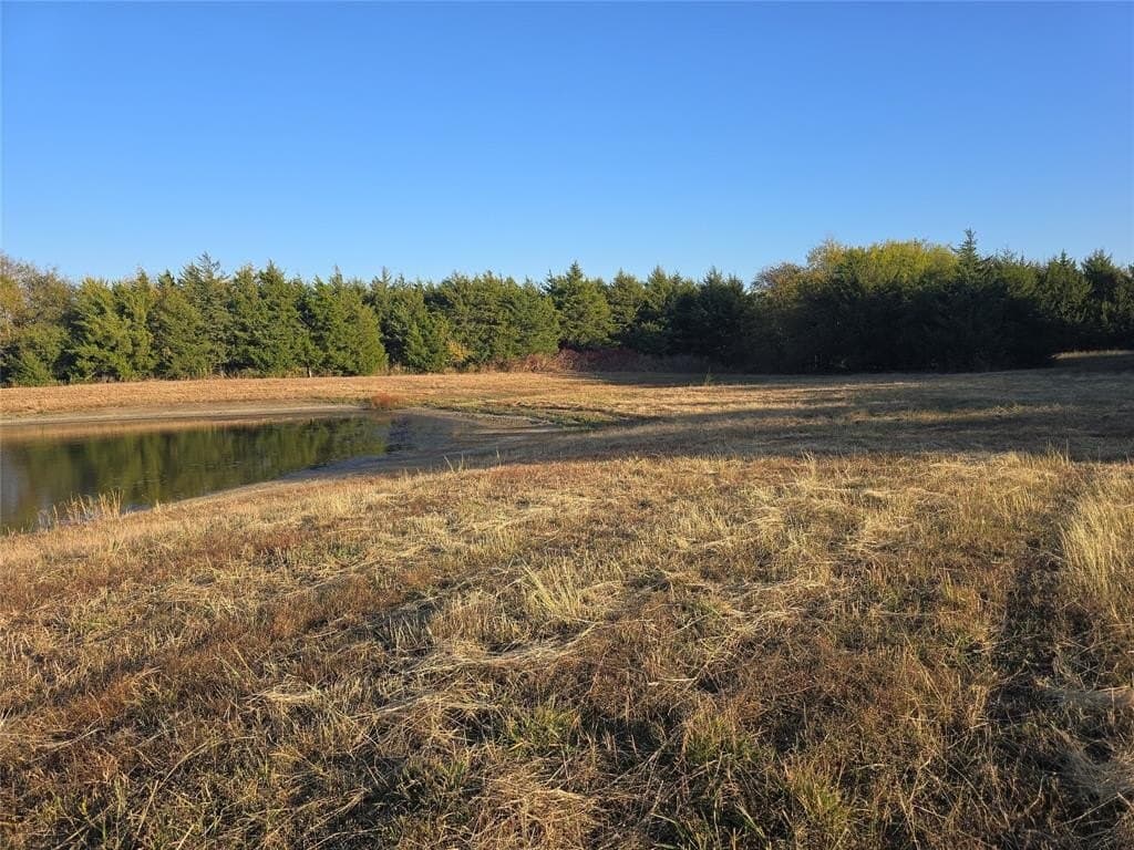 42 acres in Lamar County - photo 8
