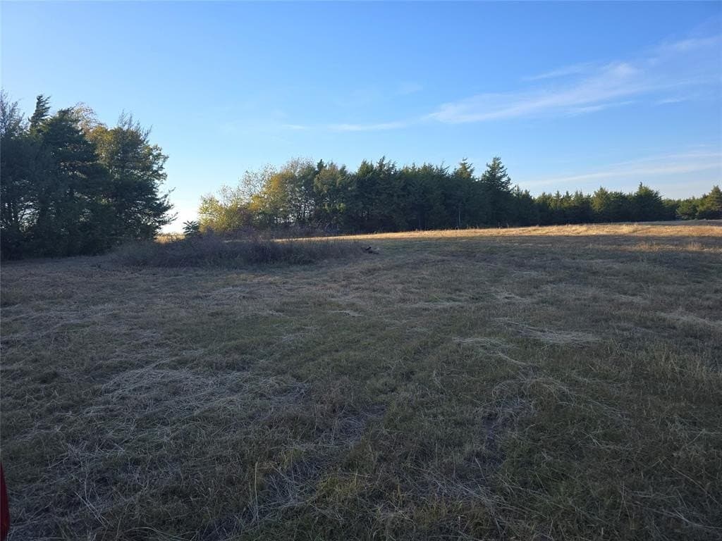 42 acres in Lamar County - photo 11