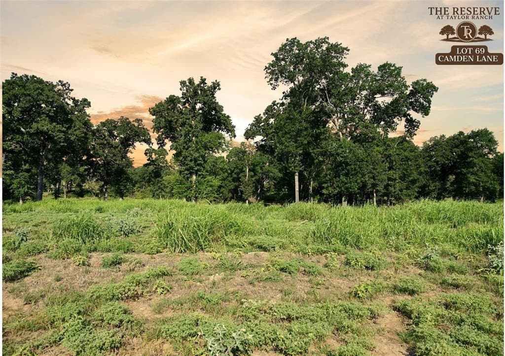 1.85 acres in Parker County - photo 3