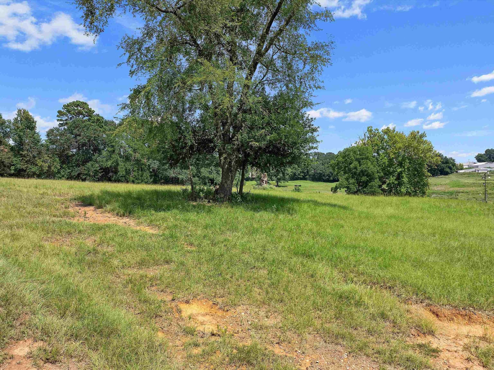 29.52 acres in Rusk County - photo 5