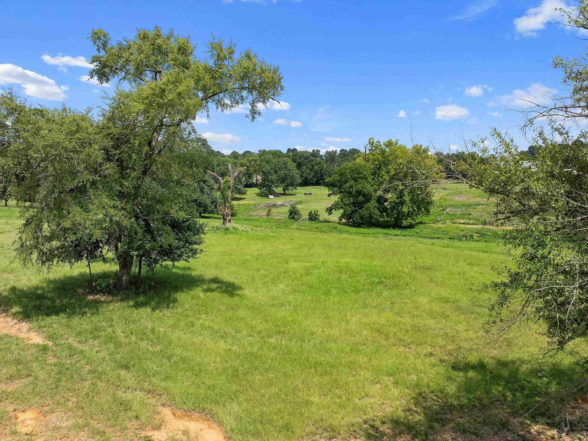 29.52 acres in Rusk County - photo 6