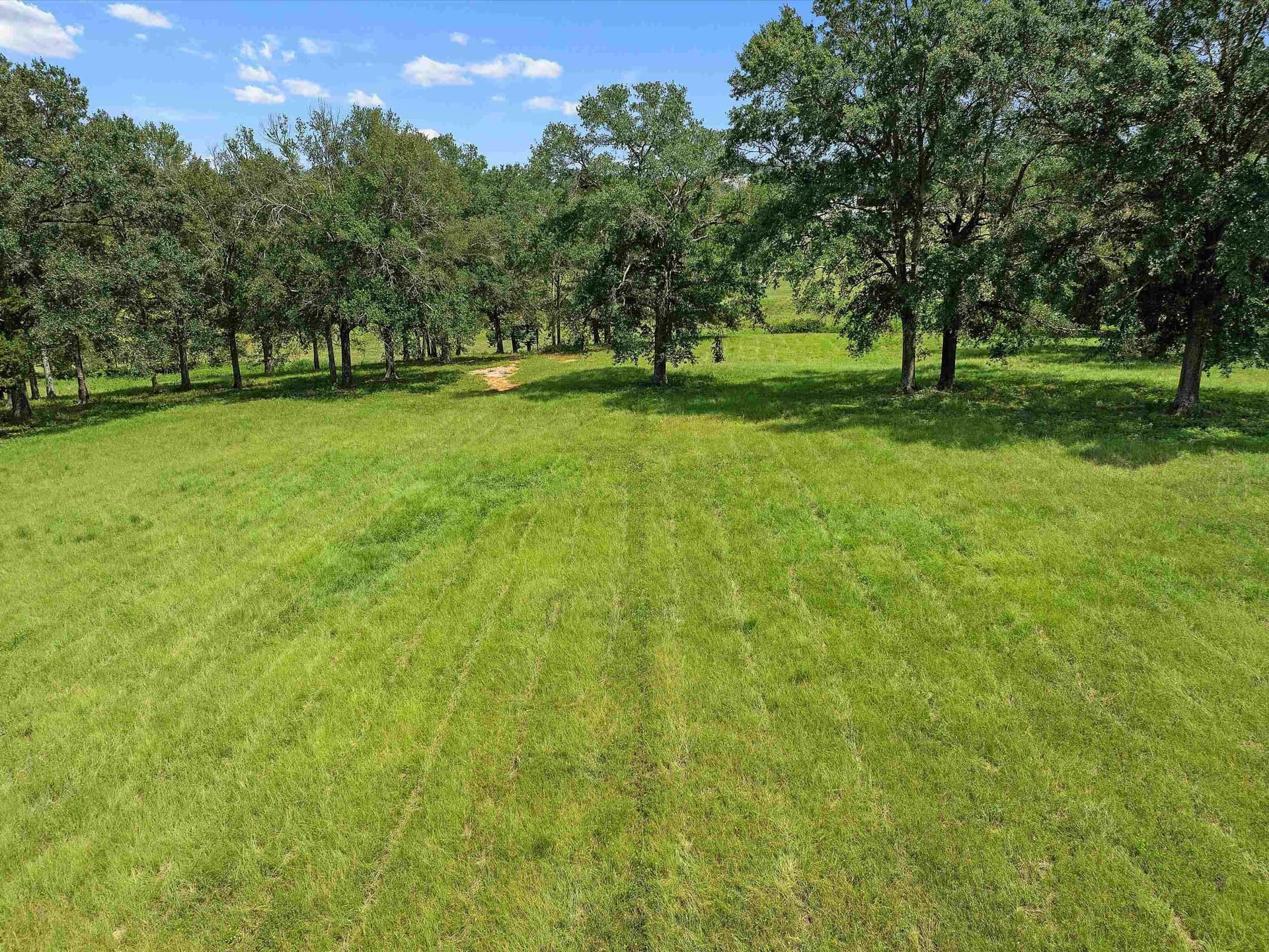 29.52 acres in Rusk County - photo 2