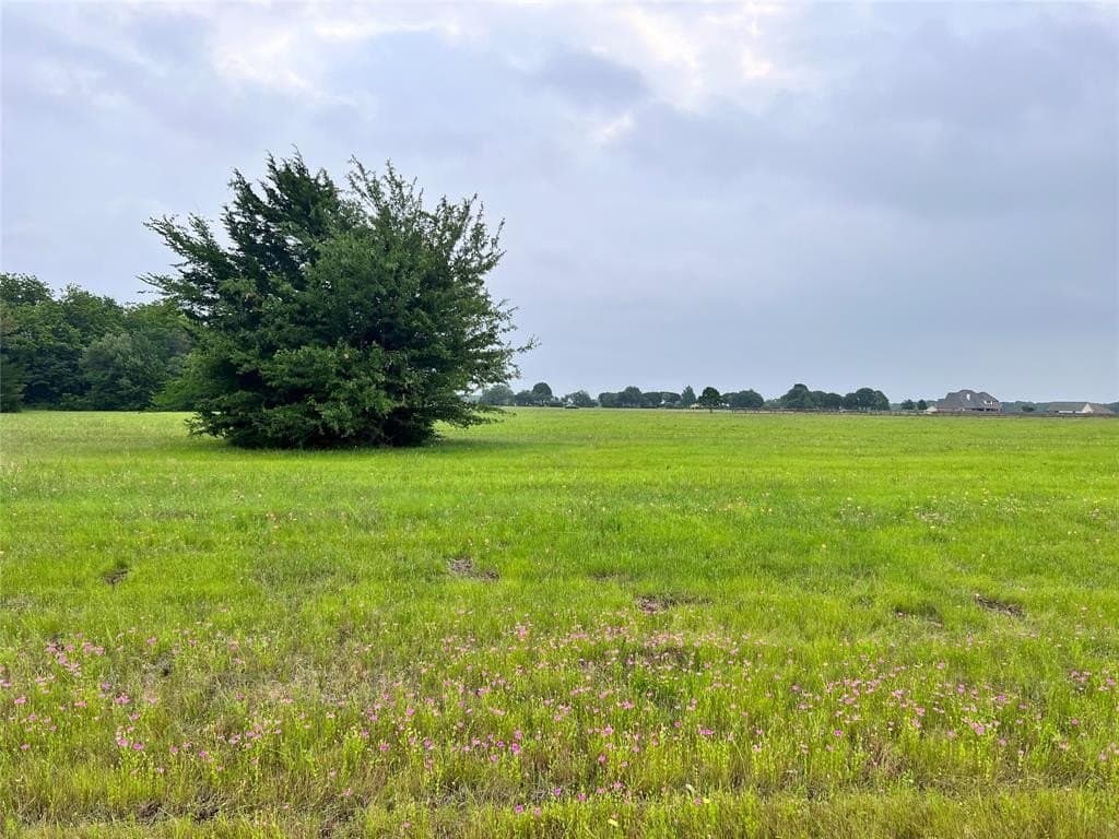 1 acres in Navarro County - photo 7