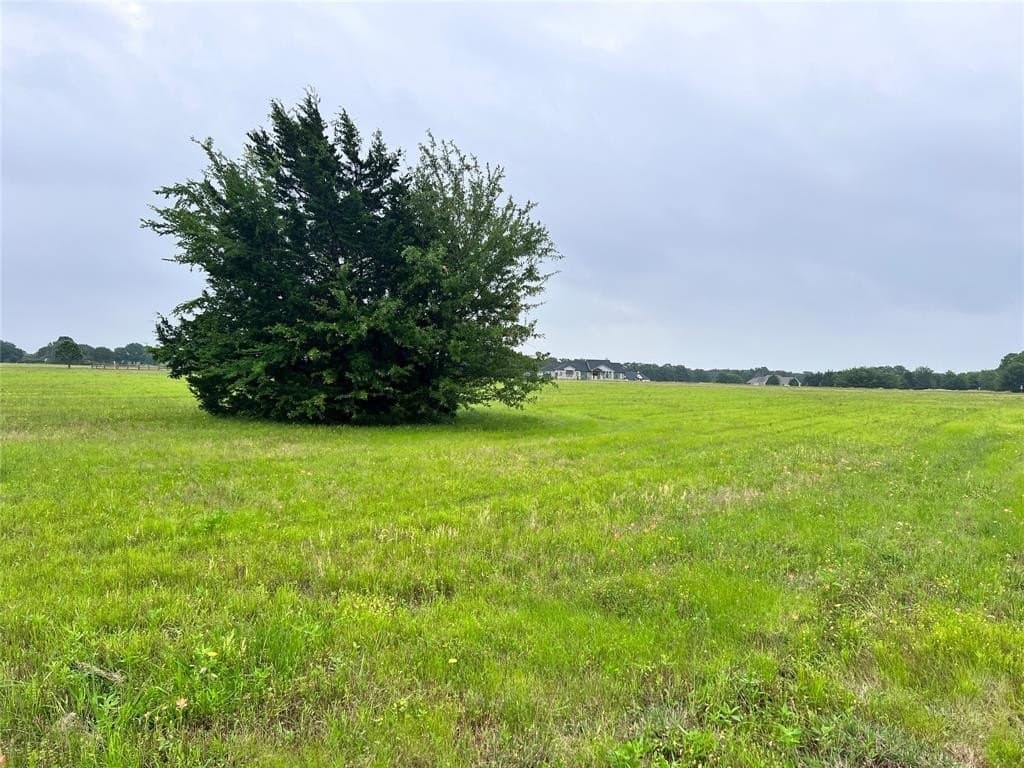 1 acres in Navarro County - photo 22