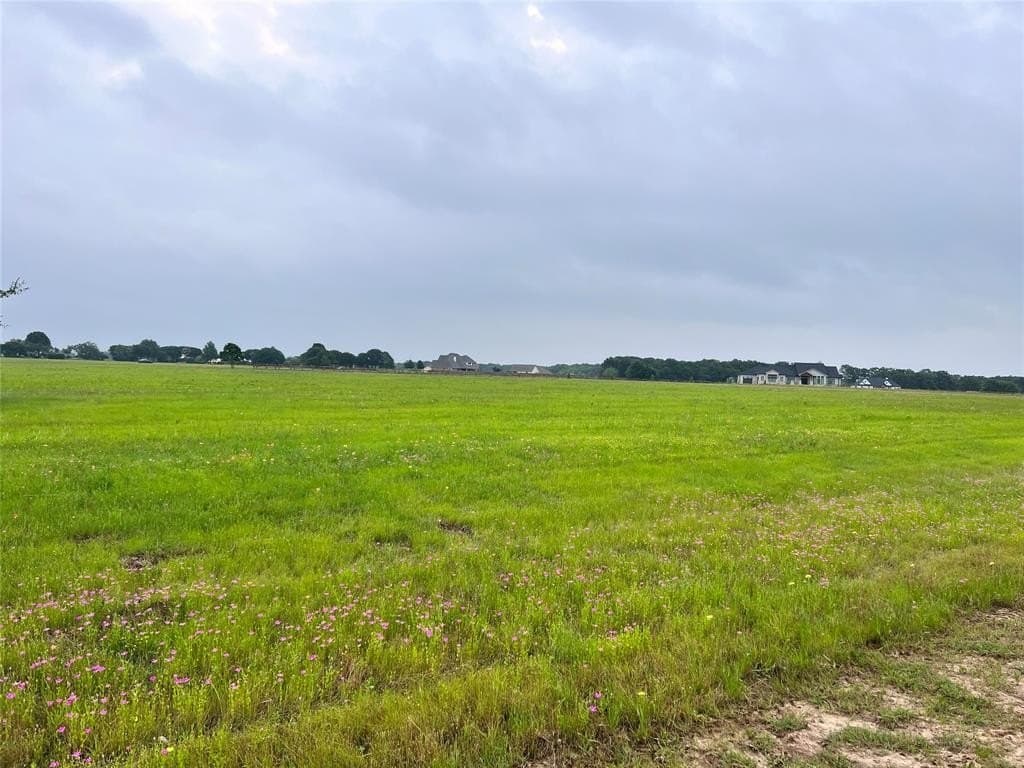 1 acres in Navarro County - photo 19
