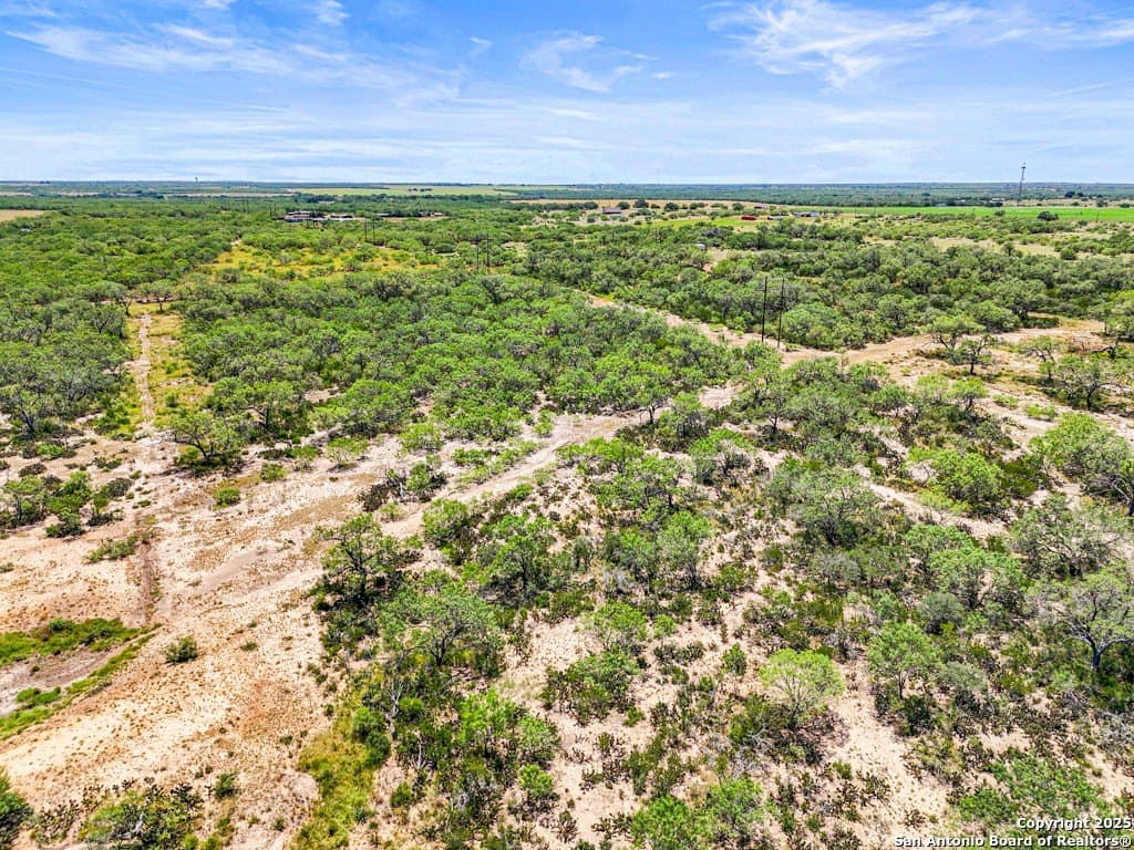 14.02 acres in Atascosa County - photo 9