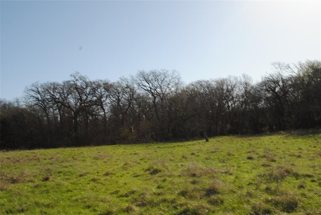 227.77 acres in Comanche County - photo 6