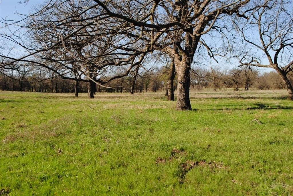 227.77 acres in Comanche County - photo 7