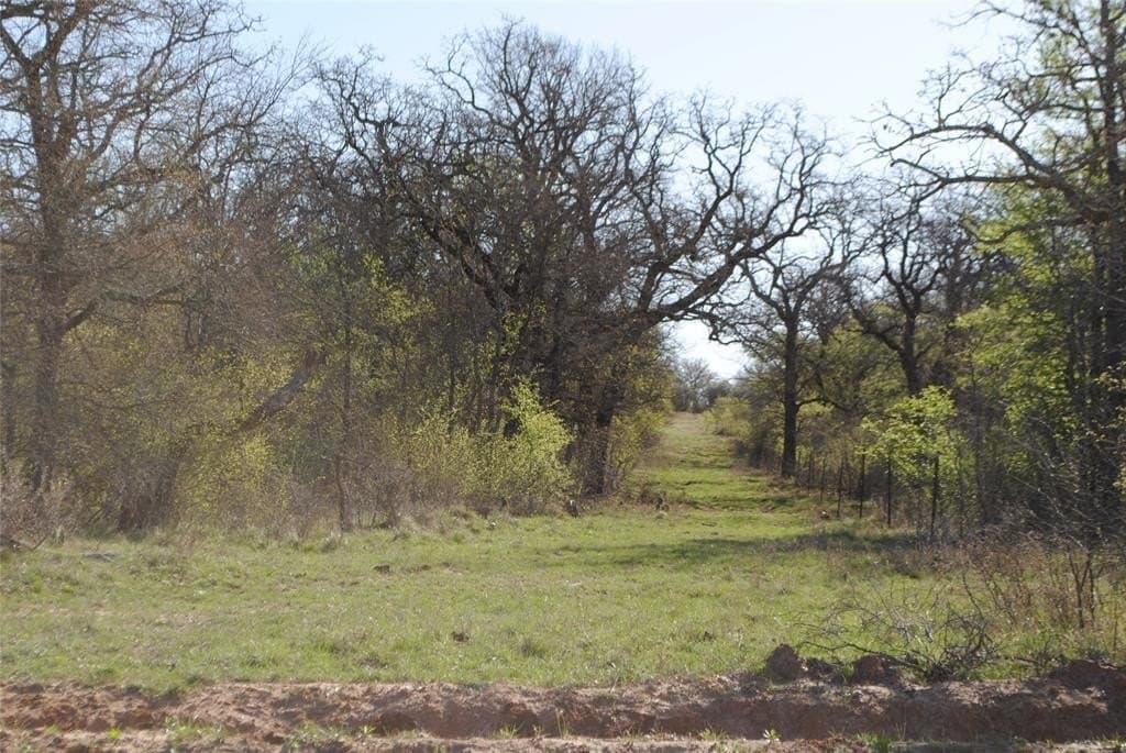 227.77 acres in Comanche County - photo 10