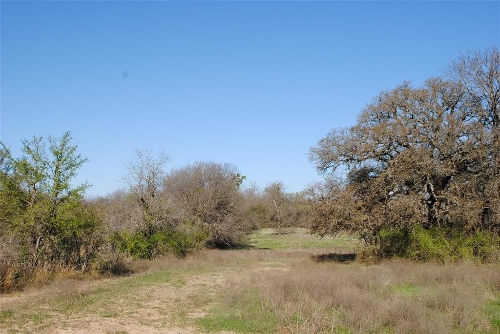 227.77 acres in Comanche County - photo 8