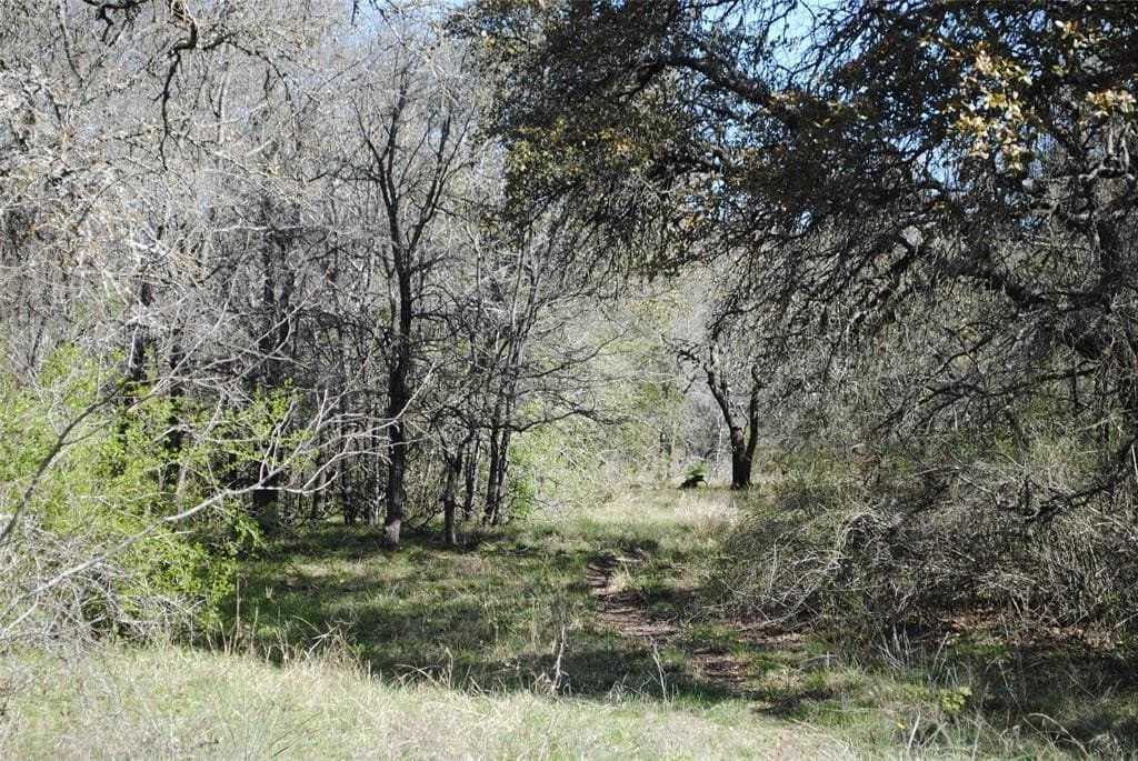227.77 acres in Comanche County - photo 20