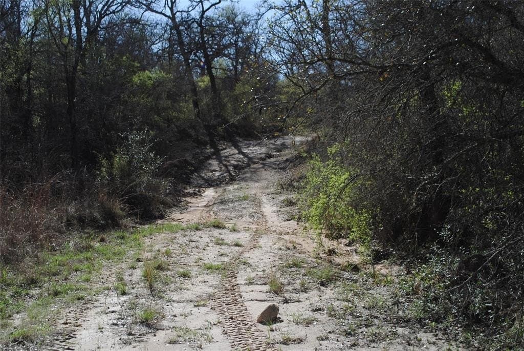 227.77 acres in Comanche County - photo 13
