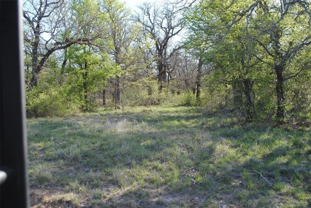 227.77 acres in Comanche County - photo 3