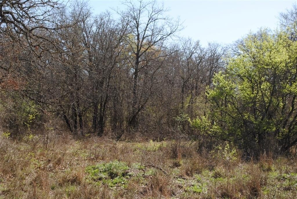 227.77 acres in Comanche County - photo 18