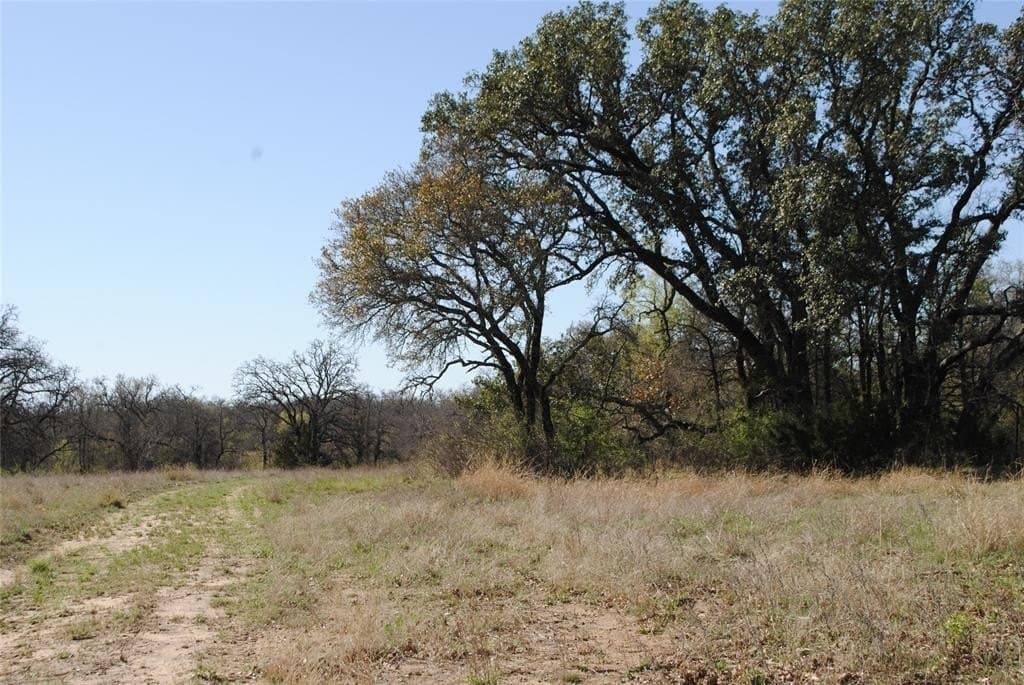 227.77 acres in Comanche County - photo 12