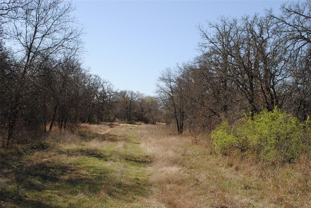 227.77 acres in Comanche County - photo 11
