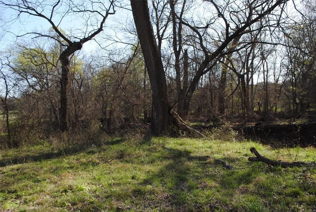 227.77 acres in Comanche County - photo 5