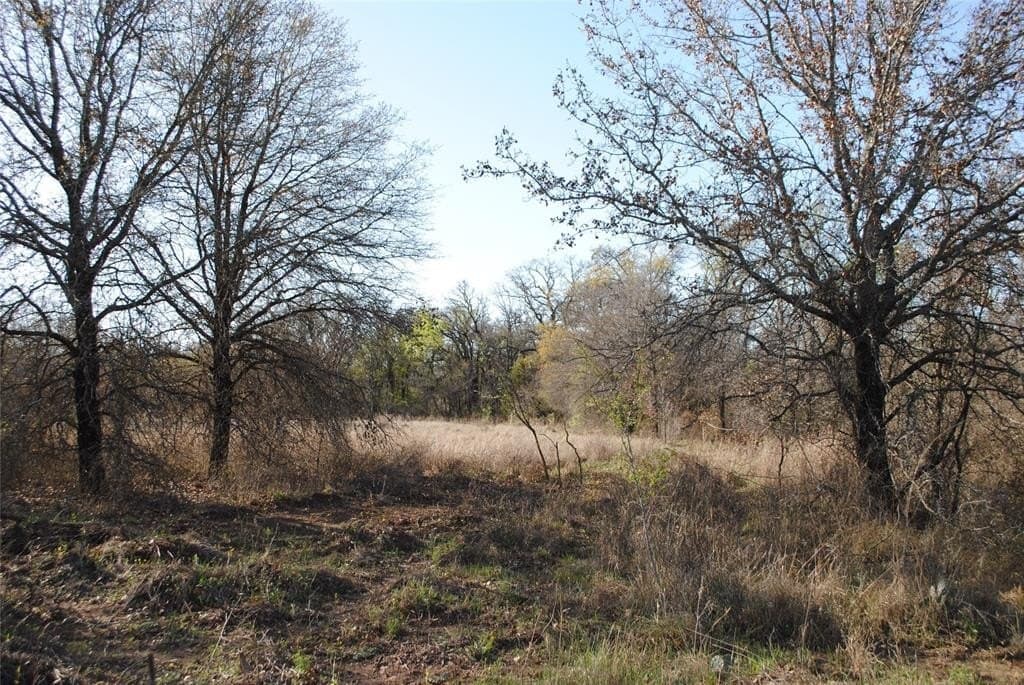 227.77 acres in Comanche County - photo 2