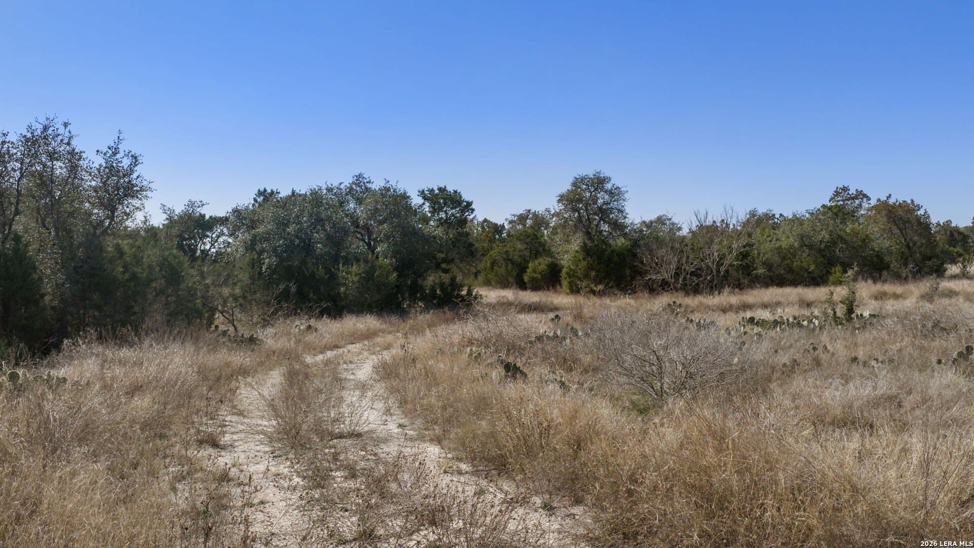 0 acres in Burnet County - photo 18