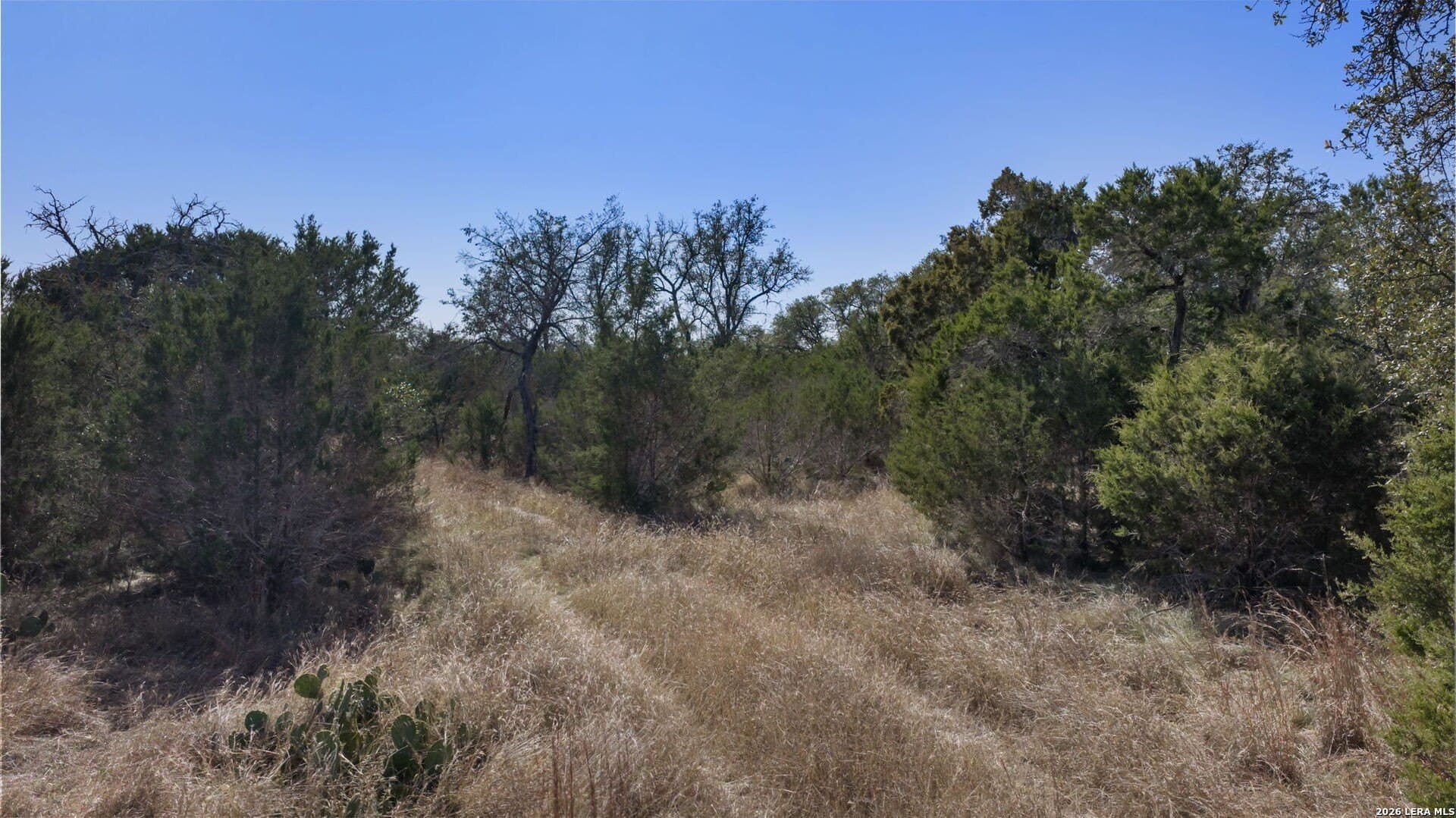 0 acres in Burnet County - photo 17