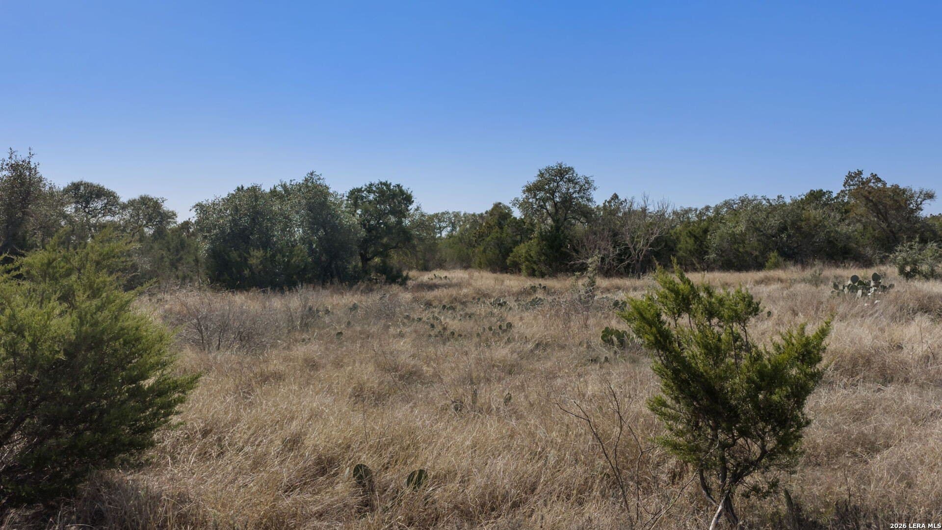 0 acres in Burnet County - photo 21