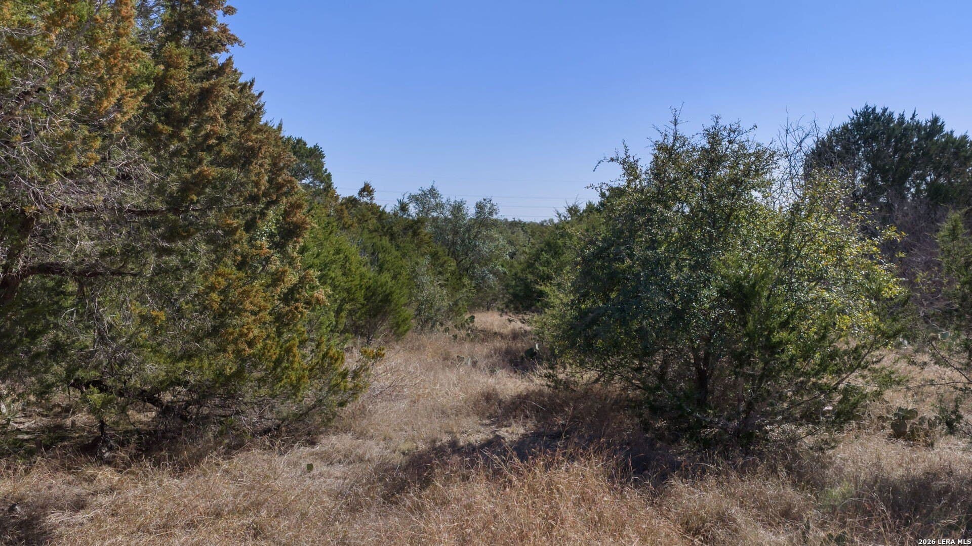 0 acres in Burnet County - photo 20