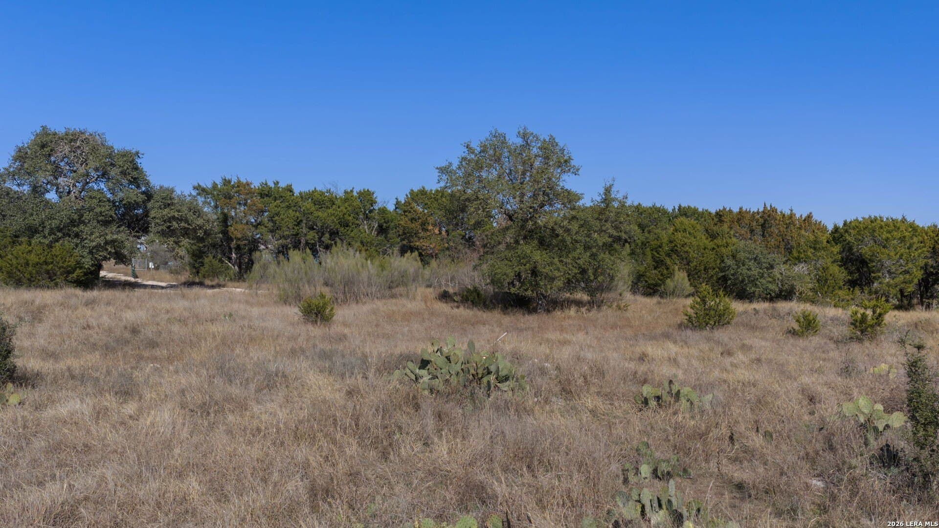 0 acres in Burnet County - photo 16