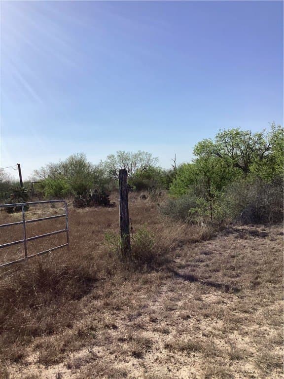 17.47 acres in Jim Wells County - photo 6