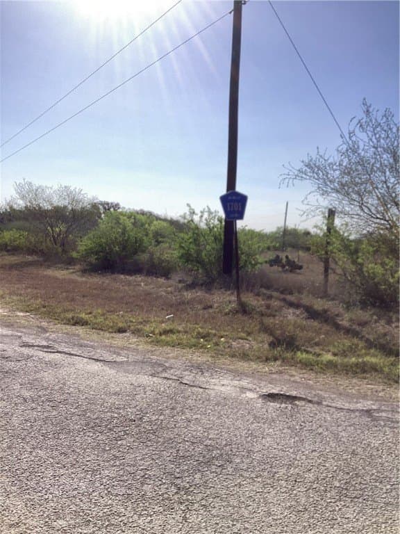 17.47 acres in Jim Wells County - photo 2