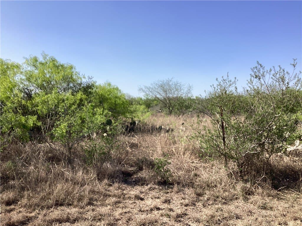 17.47 acres in Jim Wells County - photo 4