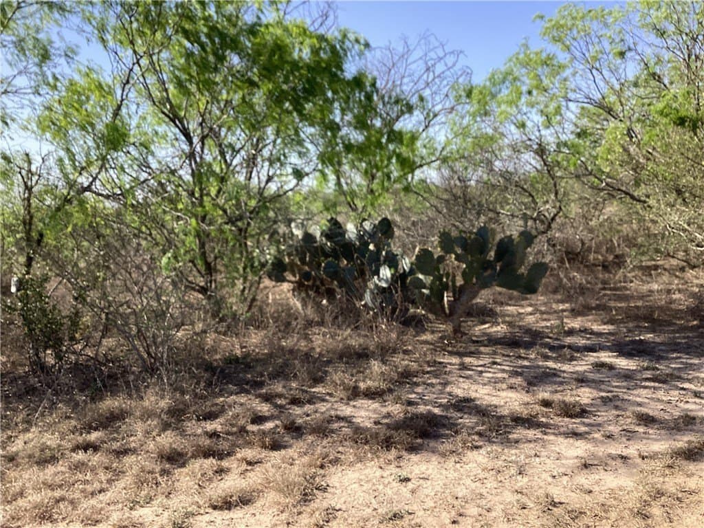 17.47 acres in Jim Wells County - photo 5
