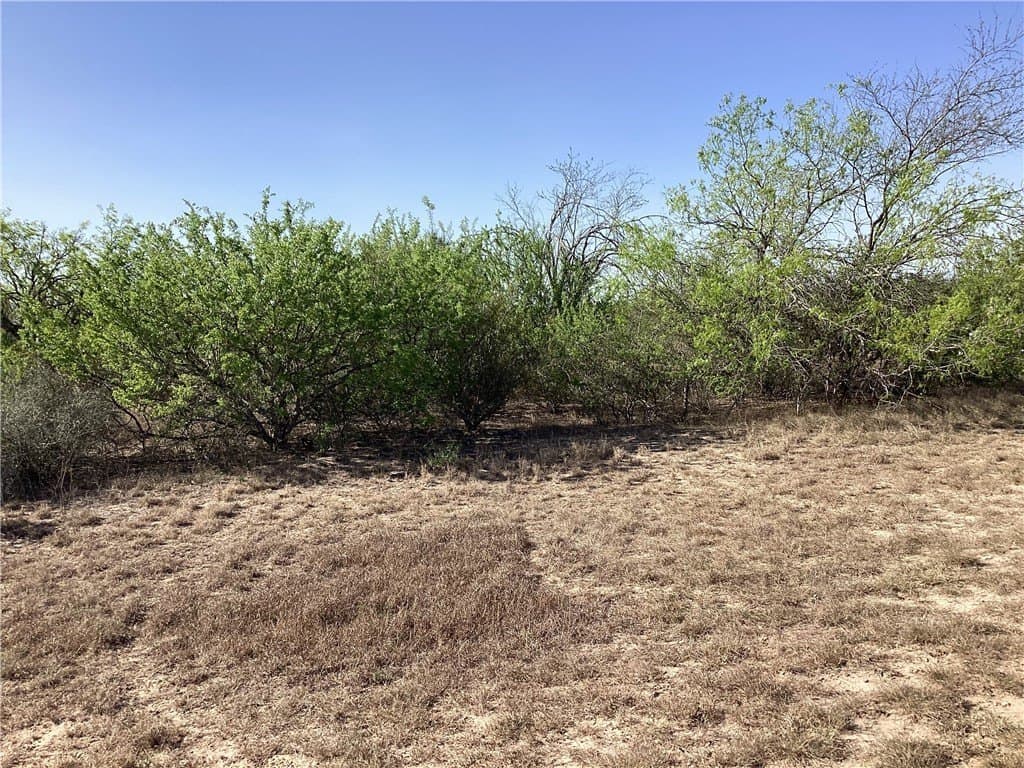 17.47 acres in Jim Wells County - photo 7