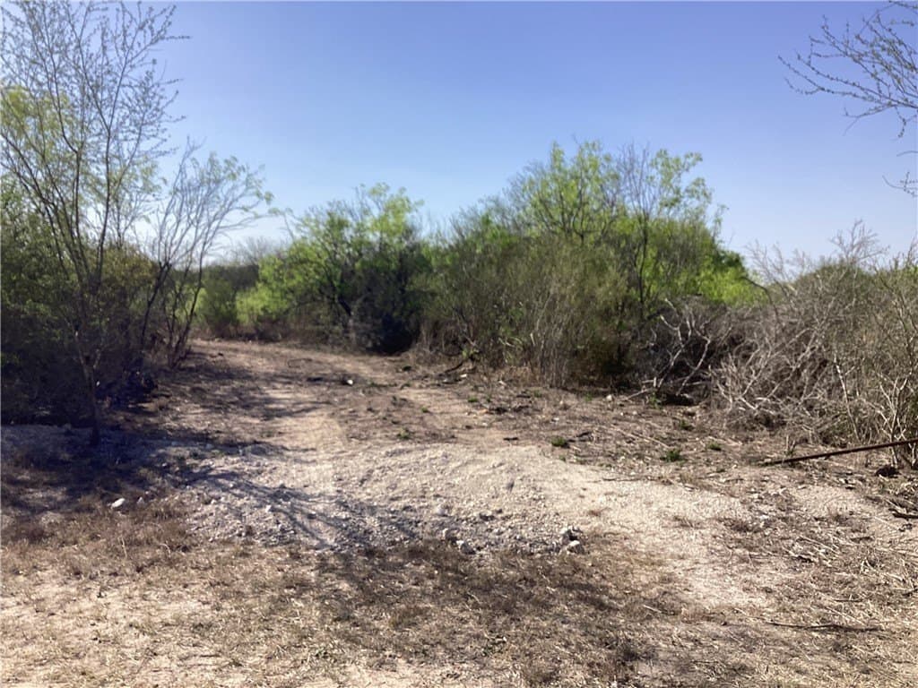 17.47 acres in Jim Wells County - photo 3