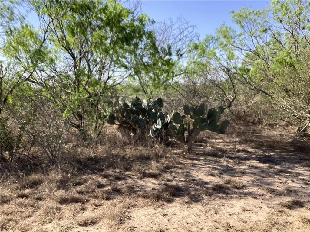 17.47 acres in Jim Wells County - photo 8