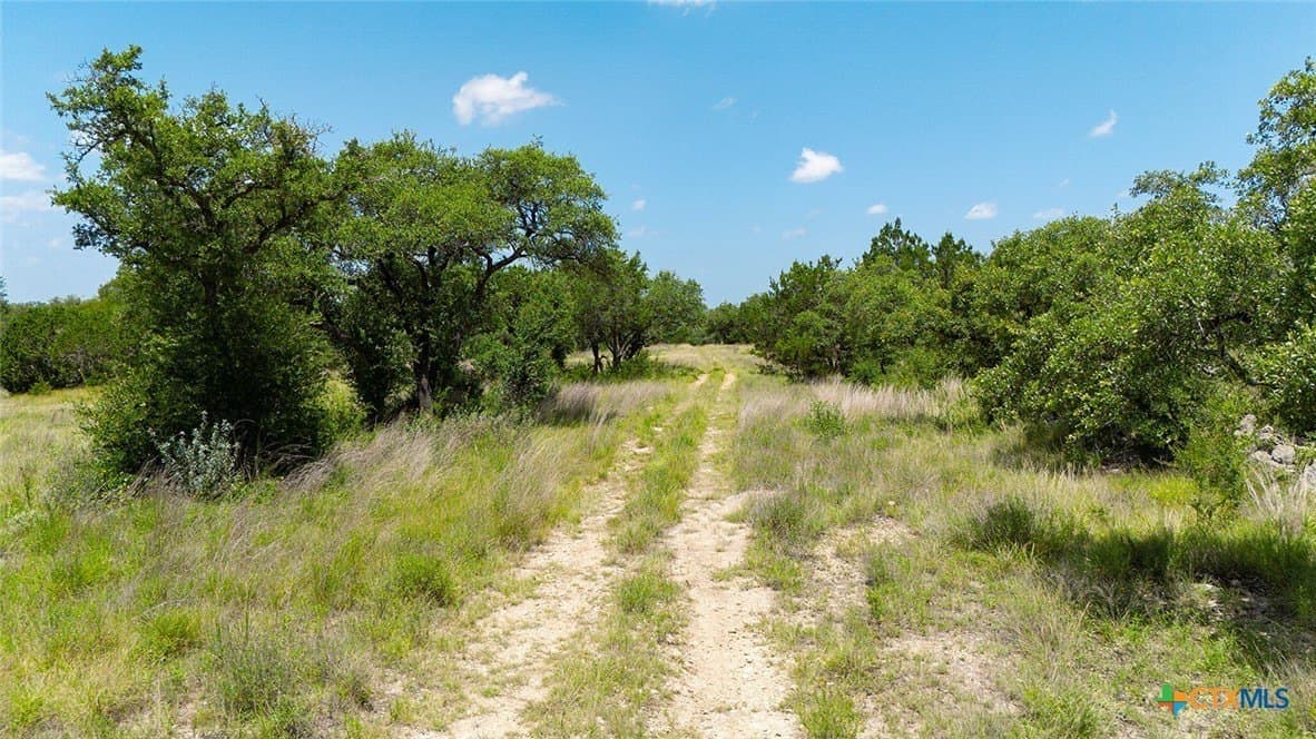 5.1 acres in Comal County - photo 11