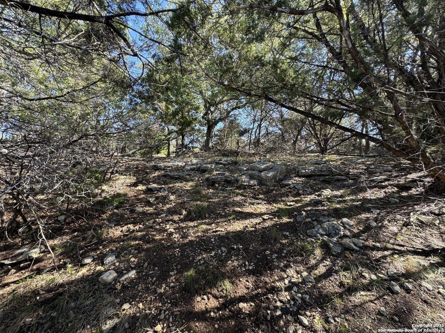 0.65 acres in Comal County - photo 4