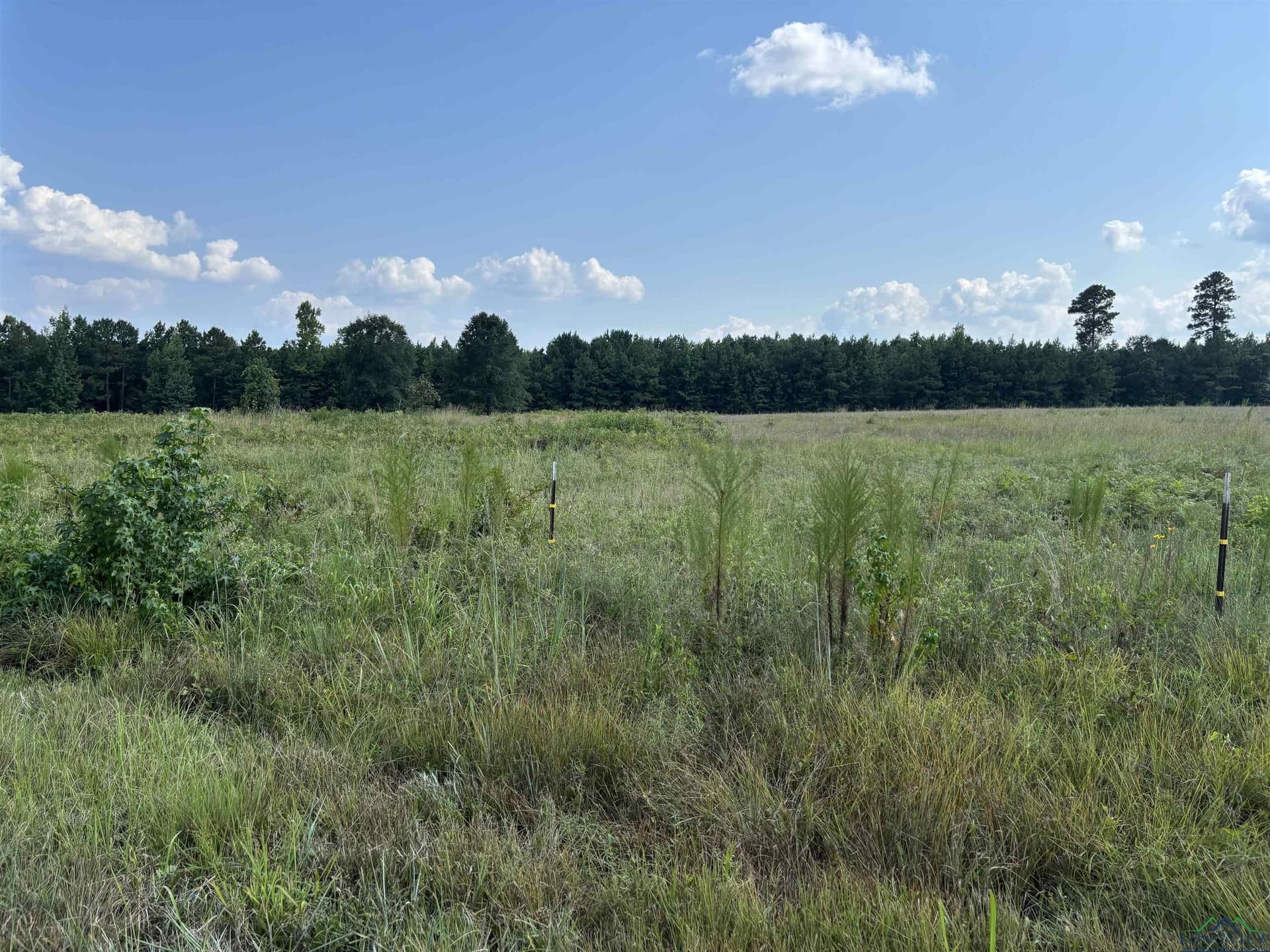 6.62 acres in Marion County - photo 2
