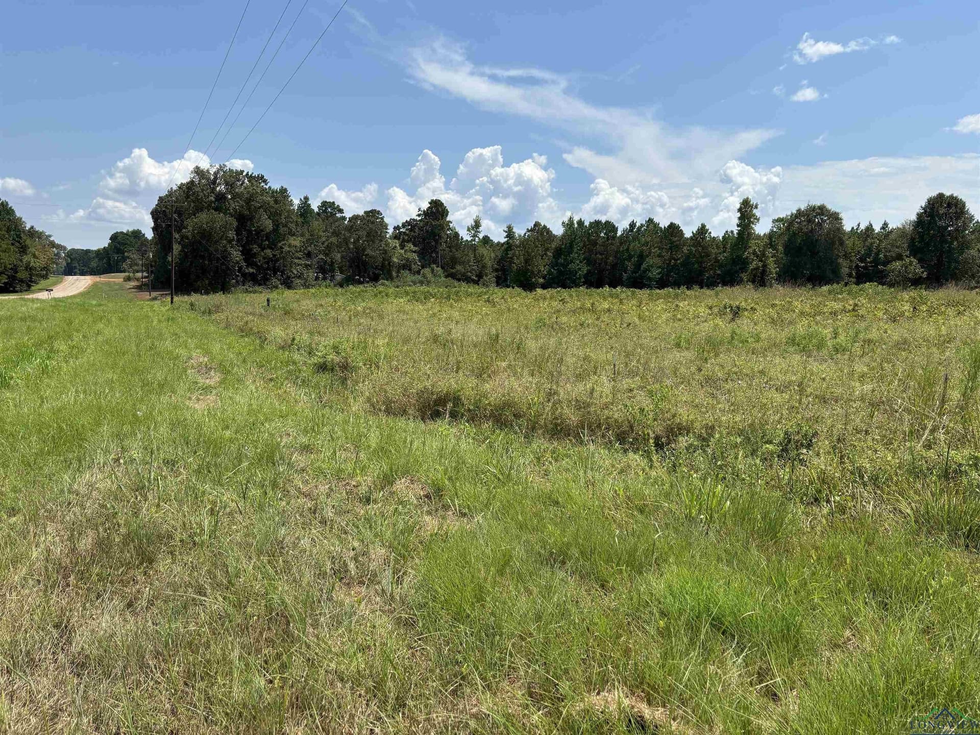 6.62 acres in Marion County - photo 9