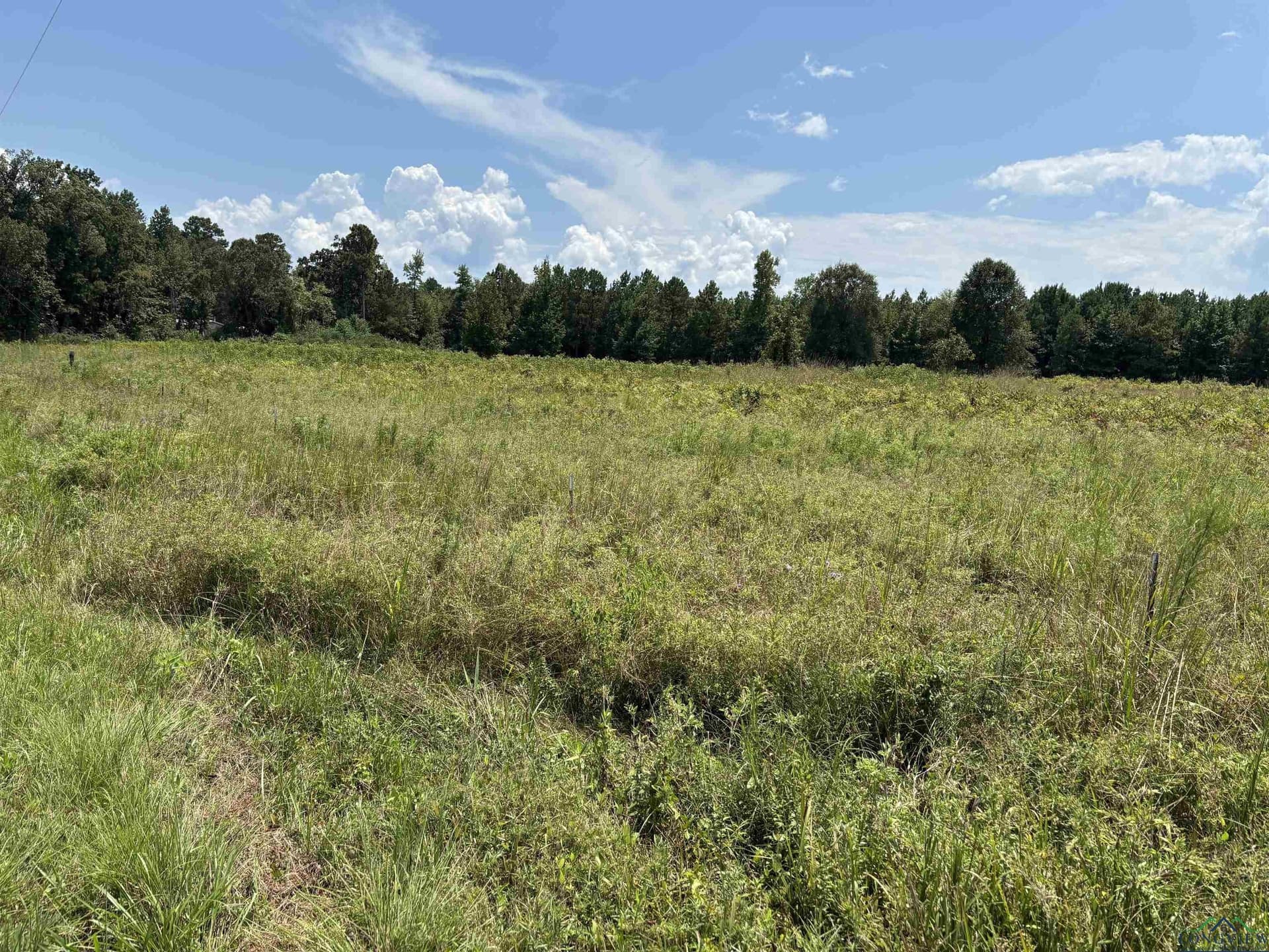6.62 acres in Marion County - photo 5