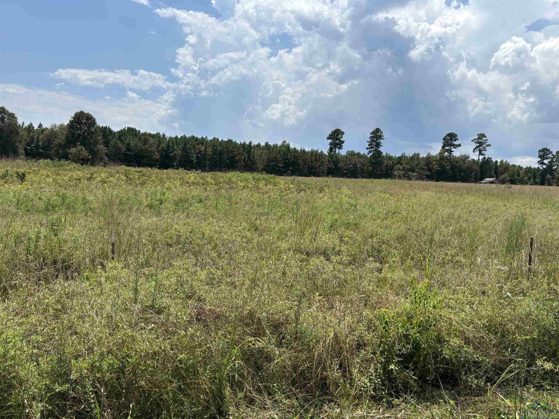 6.62 acres in Marion County - photo 6